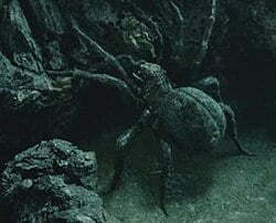 Shelob tolkien Shelob's Lair | Cirith Ungol Online